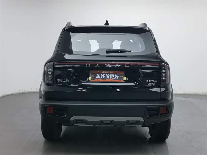 Фото 4 - Haval Dargo