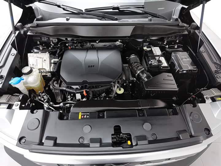 Фото 6 - Haval Dargo