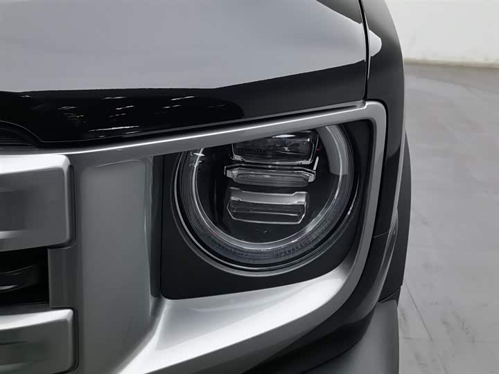 Фото 7 - Haval Dargo