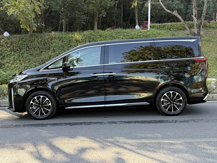 Фото 3 - Wey Gaoshan