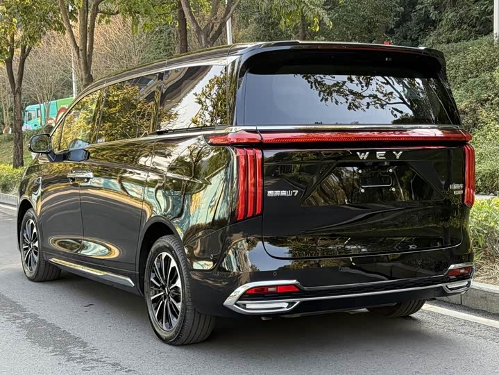 Фото 4 - Wey Gaoshan