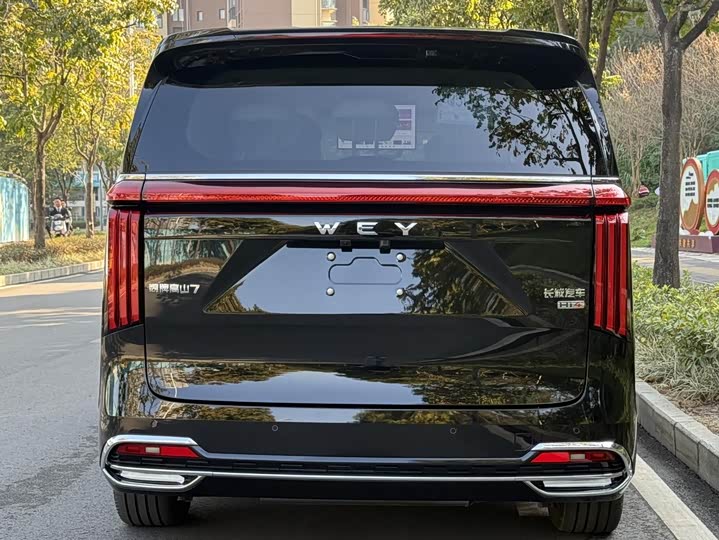 Фото 5 - Wey Gaoshan