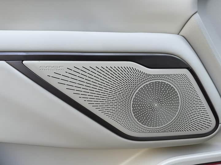 Фото 8 - Wey Gaoshan