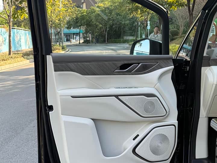 Фото 9 - Wey Gaoshan