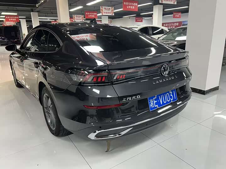 Фото 9 - Volkswagen Lamando L