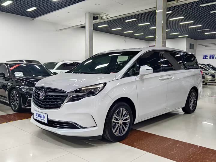 Фото 1 - Buick GL8 ES