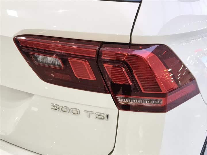 Фото 8 - Volkswagen Tiguan L Pro