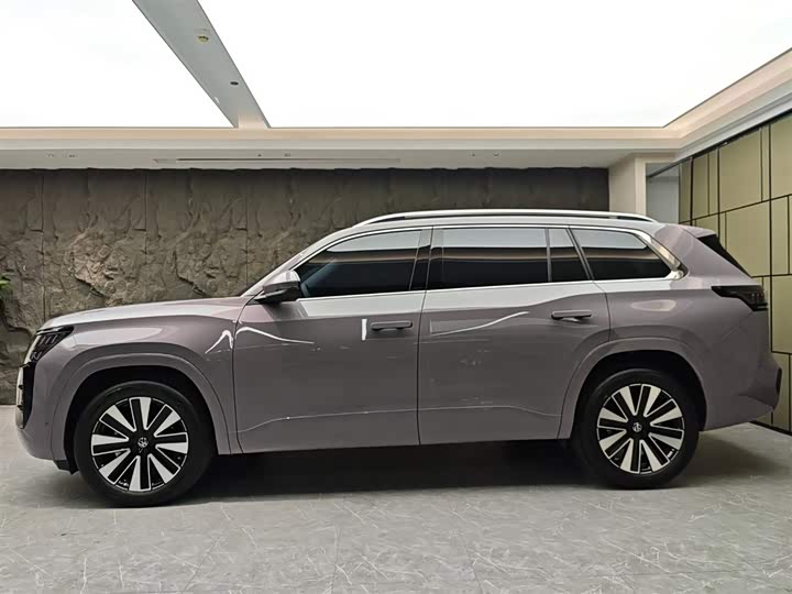 Фото 3 - Volkswagen Teramont Pro