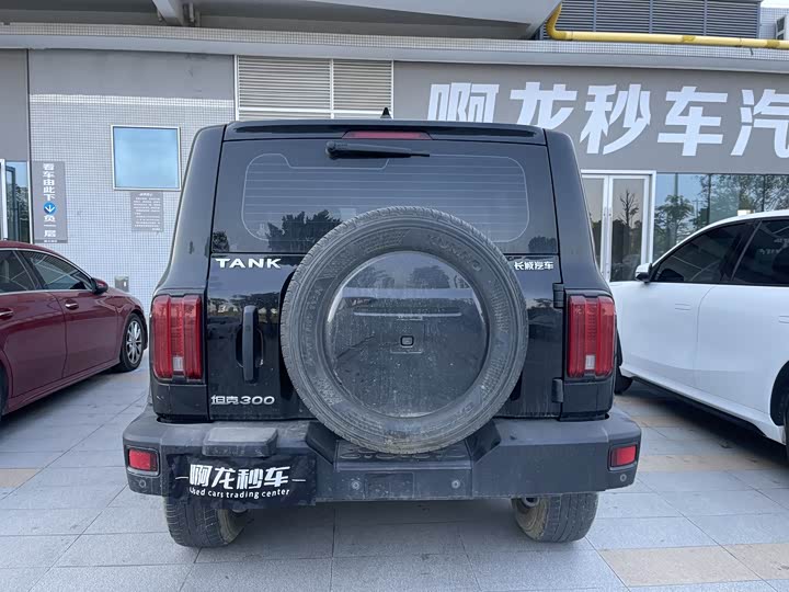 Фото 5 - Tank 300