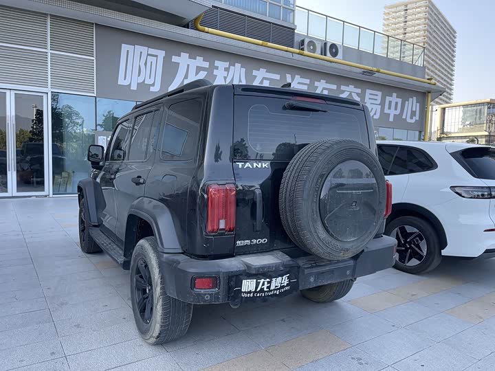 Фото 6 - Tank 300