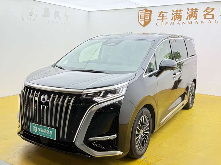 Фото 1 - Denza D9