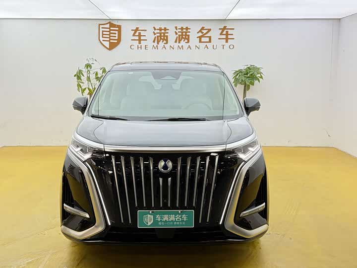 Фото 2 - Denza D9