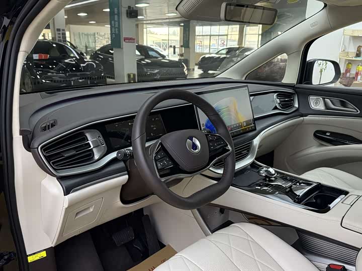 Фото 5 - Denza D9