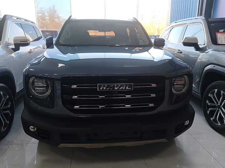 Фото 3 - Haval Dargo