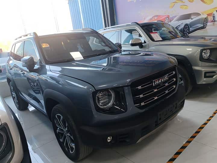 Фото 4 - Haval Dargo