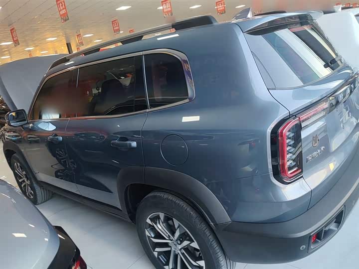 Фото 5 - Haval Dargo