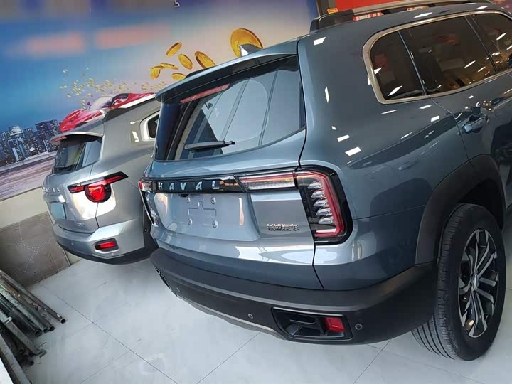 Фото 6 - Haval Dargo