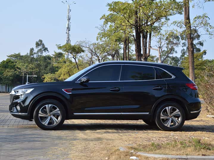 Фото 7 - Hongqi HS5