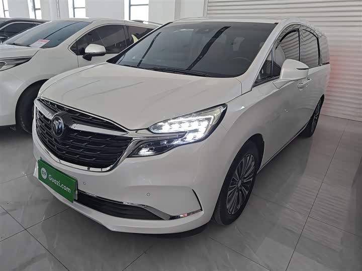 Фото 1 - Buick GL8 ES