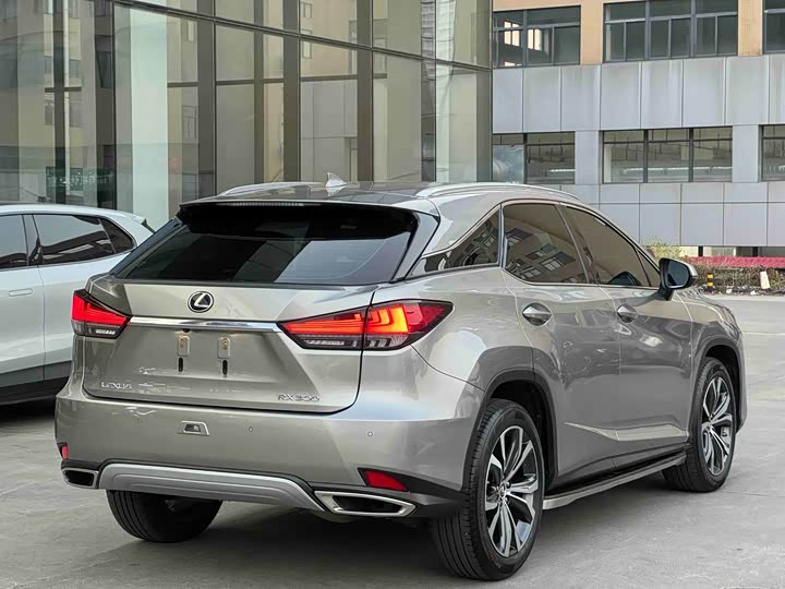 Фото 7 - Lexus RX