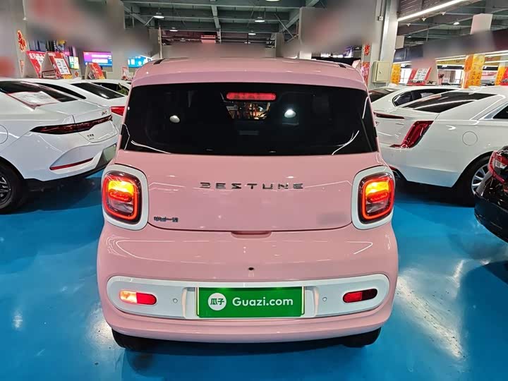 Фото 6 - Bestune Pony