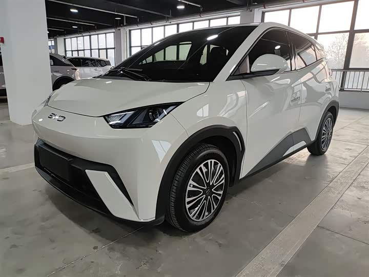 Фото 1 - BYD Seagull