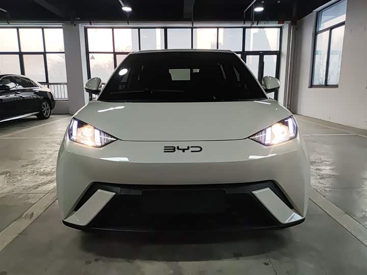 Фото 3 - BYD Seagull