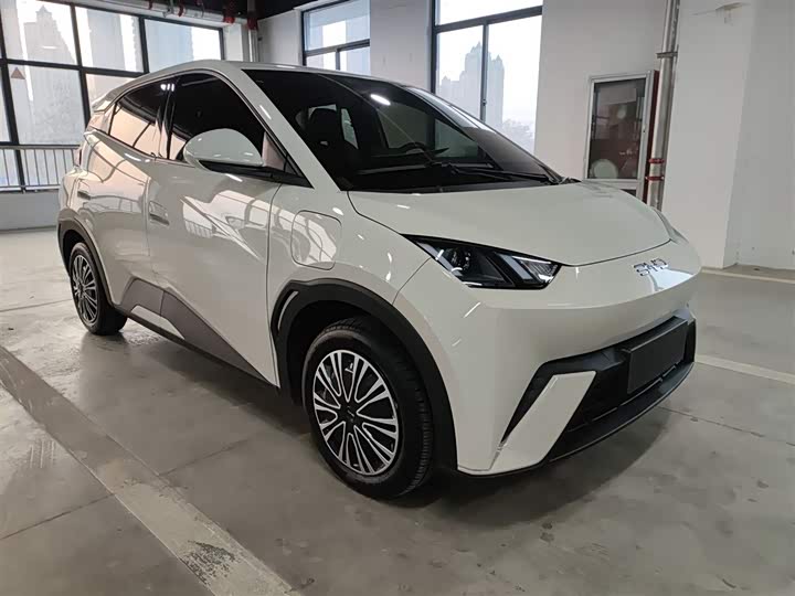 Фото 4 - BYD Seagull