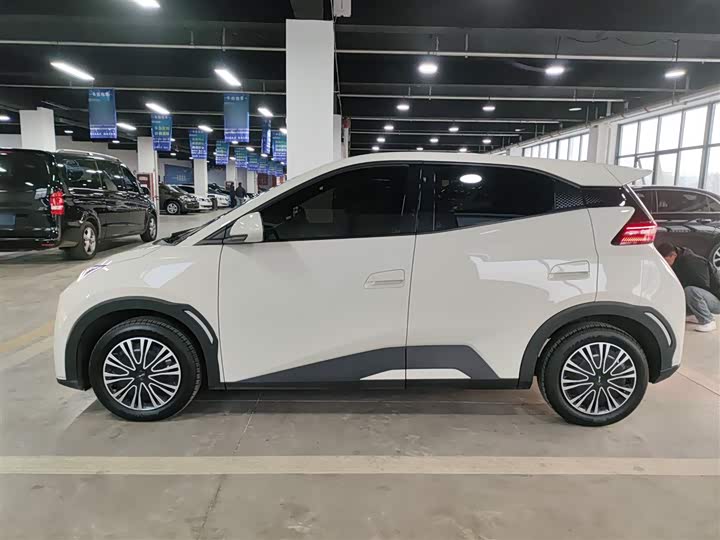 Фото 5 - BYD Seagull