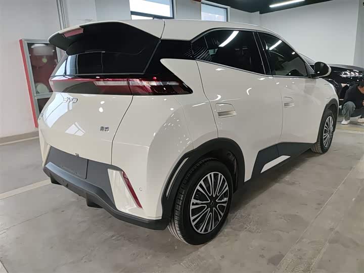 Фото 7 - BYD Seagull