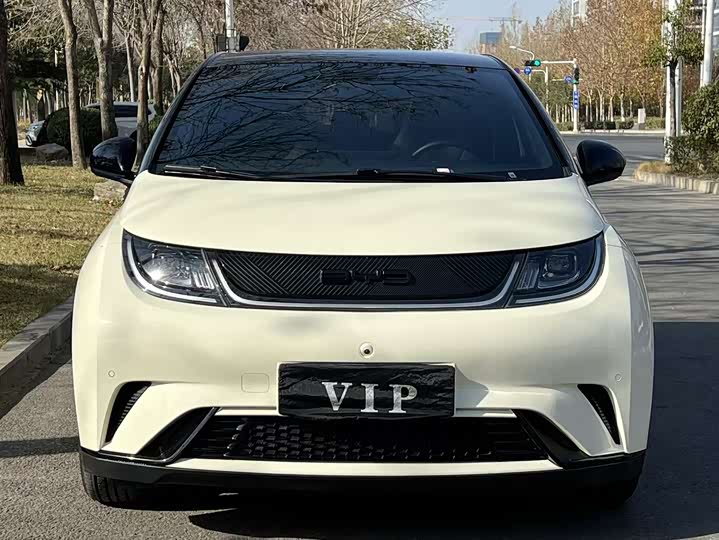 Фото 2 - BYD Dolphin