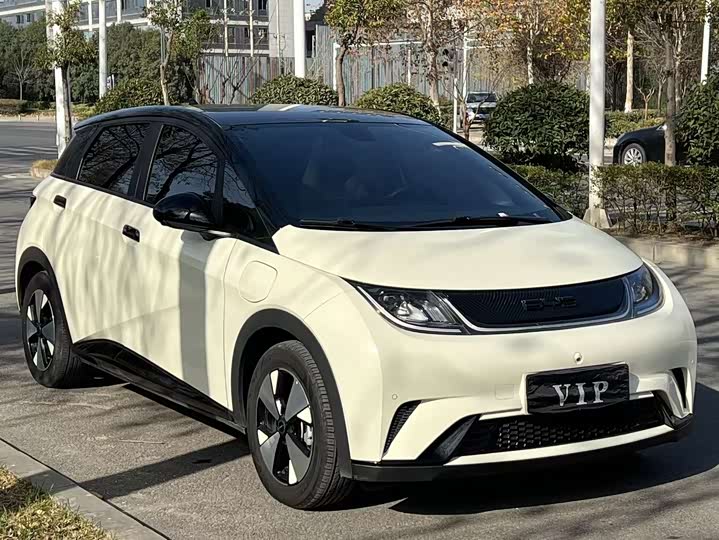 Фото 3 - BYD Dolphin