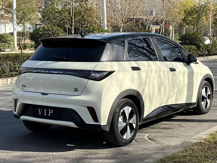 Фото 7 - BYD Dolphin