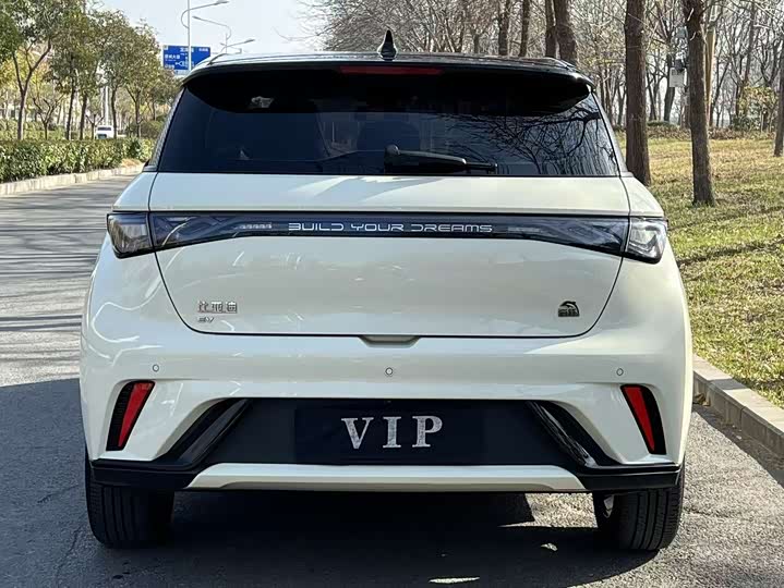 Фото 8 - BYD Dolphin