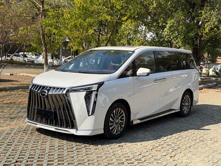 Фото 1 - GAC Trumpchi M8