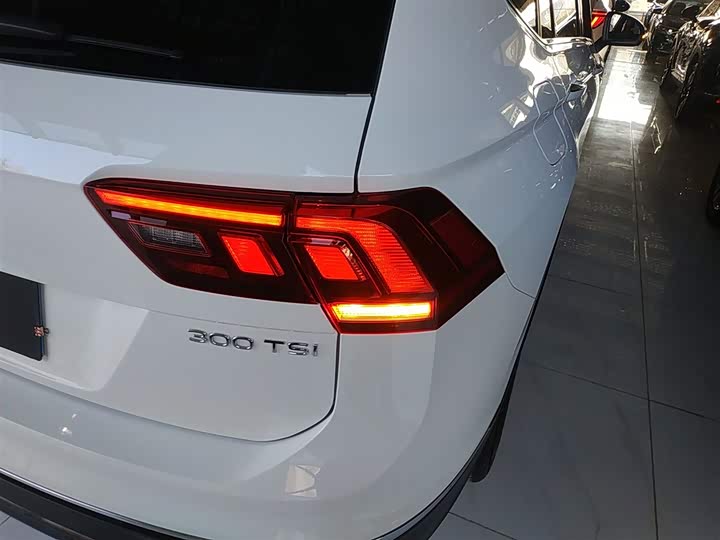 Фото 8 - Volkswagen Tiguan L Pro