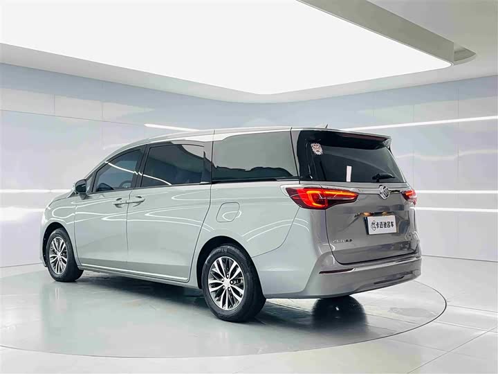 Фото 5 - Buick GL8 ES