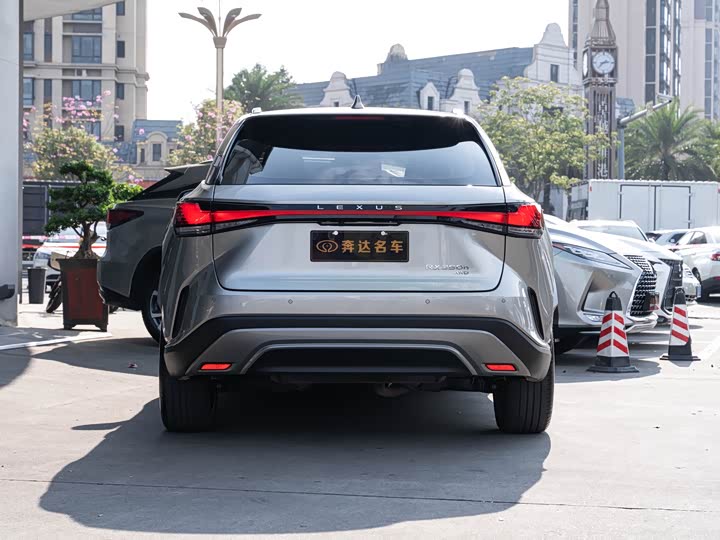 Фото 5 - Lexus RX