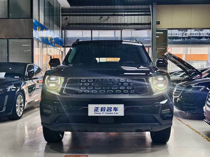 Фото 2 - Haval H-Dog