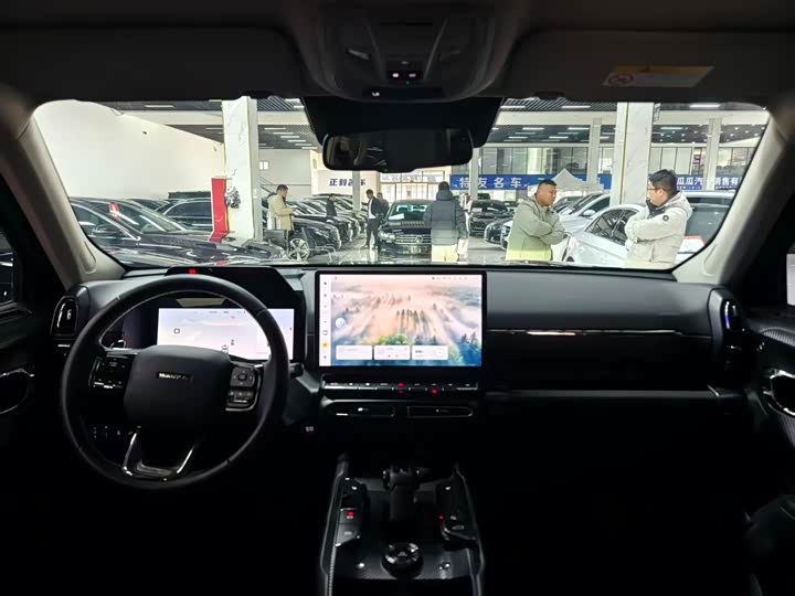 Фото 5 - Haval H-Dog