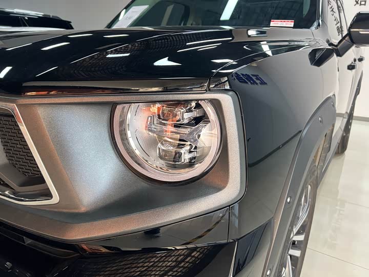 Фото 8 - Haval H-Dog