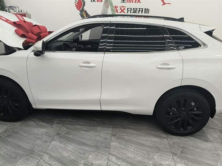 Фото 6 - Dongfeng Forthing T5 EVO