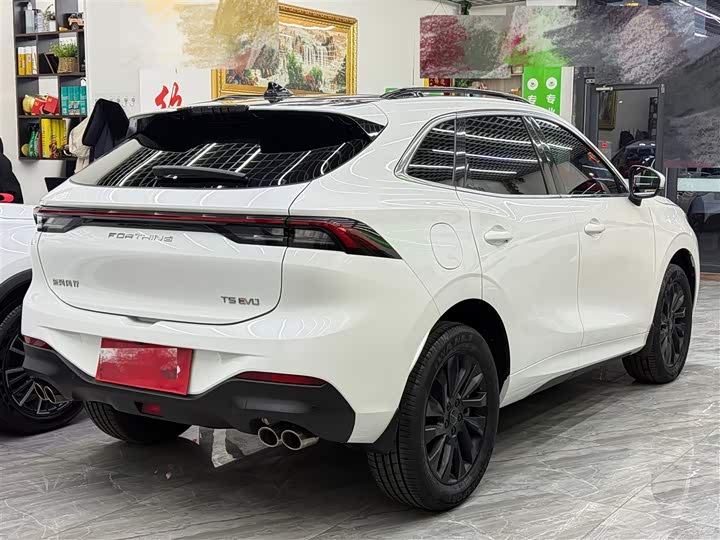 Фото 9 - Dongfeng Forthing T5 EVO