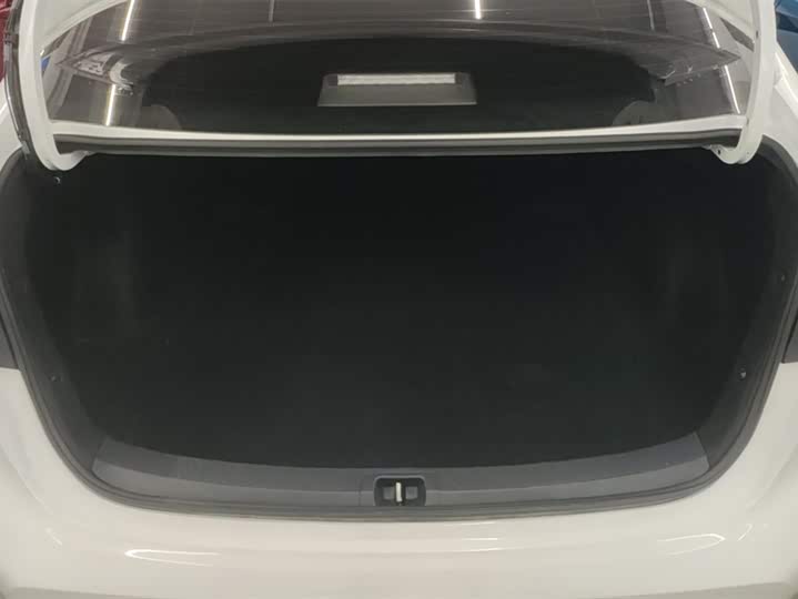 Фото 4 - Toyota Levin