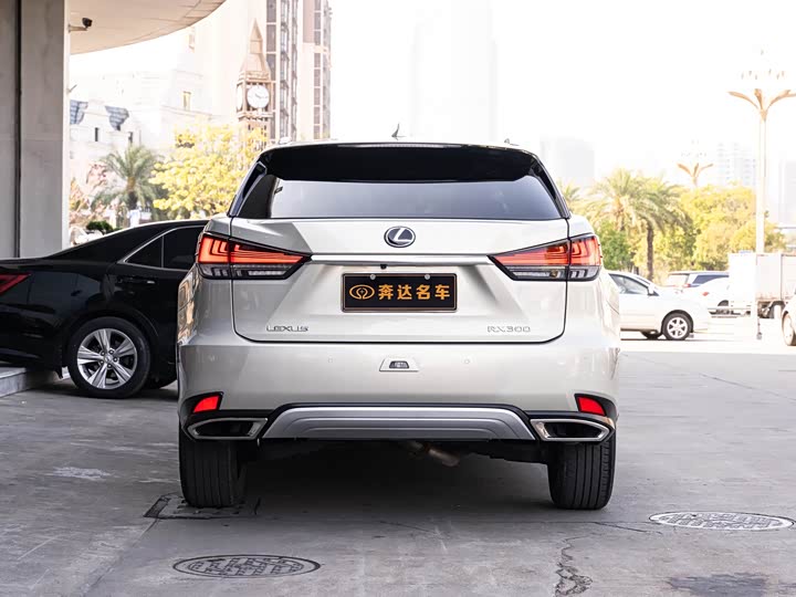 Фото 5 - Lexus RX