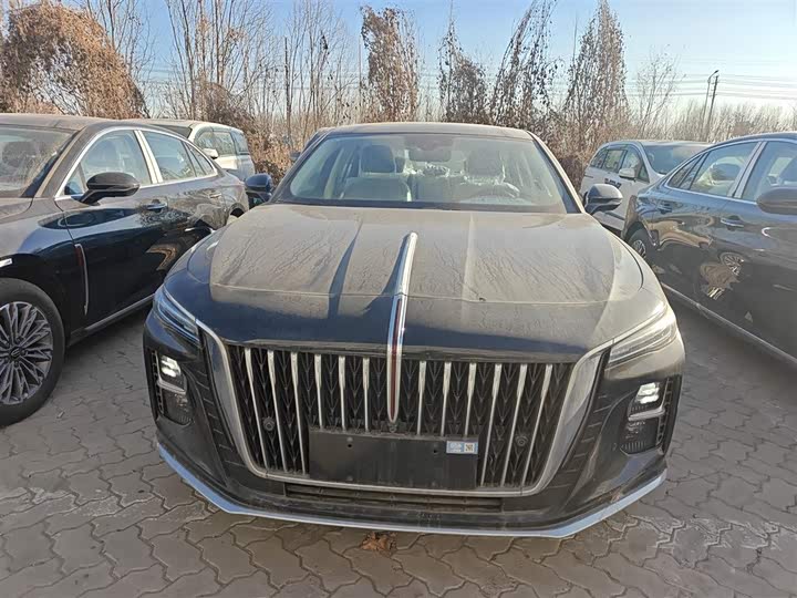 Фото 3 - Hongqi H5