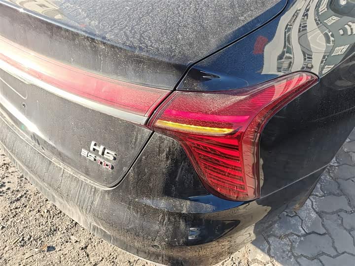 Фото 8 - Hongqi H5