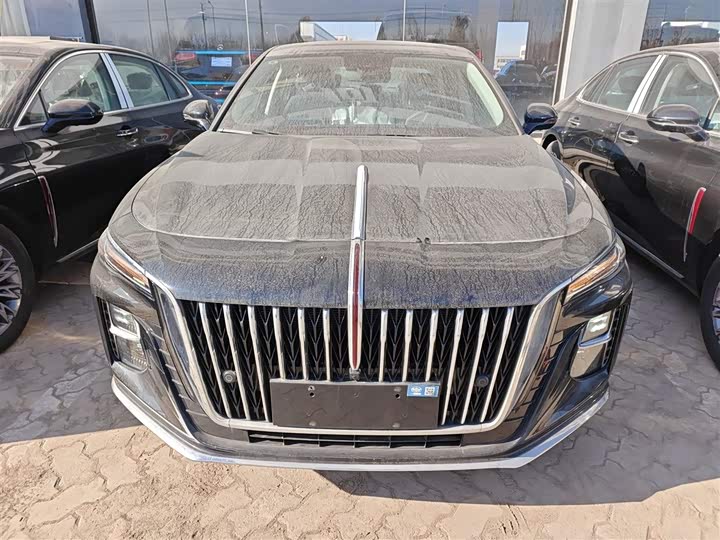 Фото 3 - Hongqi H5