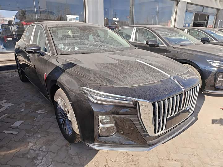 Фото 4 - Hongqi H5