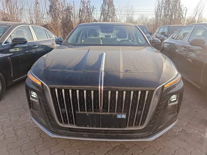 Фото 3 - Hongqi H5